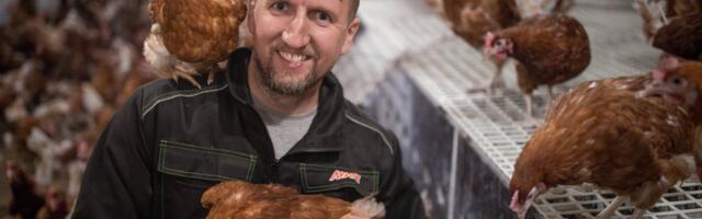 Veel jõuad oma hääle anda: Kana-Tanel viib Saaremaa ülemaailmsel konkursil TOP 6 hulka