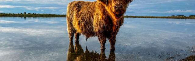 9. märtsi Vormsi Vallavolikogu X koosseisu 5. istungi kokkuvõte