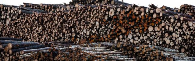 Oktoobris saavutas kaupade sissevedu uue rekordi