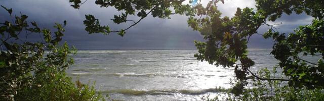 Jaanus Volmre NÄDALA FOTO