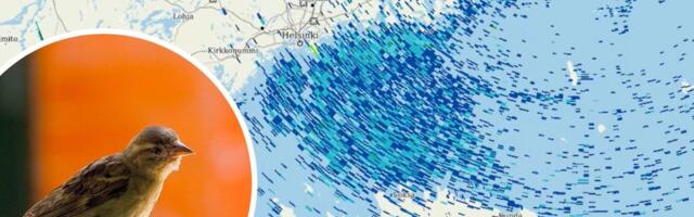 VIDEO | Võimas vaatepilt: ilmaradari pildile jäi massiline lindude migreerumine