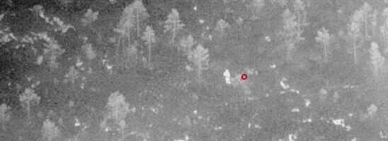 PPA lennusalk leidis metsa eksinud mehe