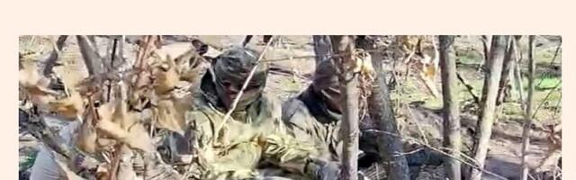The Report About Russia’s Alleged Recruitment Of Houthi Mercenaries Is Misleading