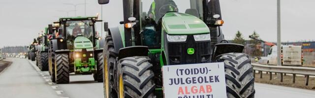 Põllumehed hoiatavad kärbete eest: toidujulgeolek algab põllult, mitte eelarvetabelist