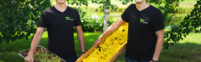 E-Sahver on kahe venna hobist sündinud ettevõte, mis propageerib maaelu ja rohelist mõtteviisi