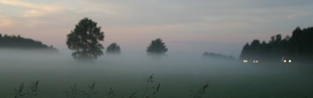 Suureneb Natura 2000 erametsaomanikele makstav hüvitis