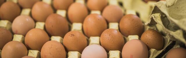 ÜLEVAADE | Toidukaupade hinna tõusu lõppu ei paista