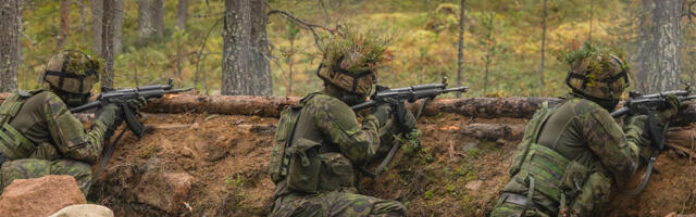 Soome ajateenija tegi kaaslasest nilbeid pilte, sai karistada