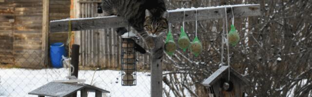 IDEEKONKURSS⟩ AASTA LIND 2027