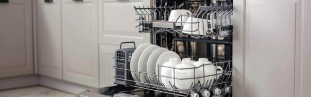 NÕUANDED I Kuidas ennetada nõudepesumasina rikkeid ja kaitsta oma kodu veekahju eest?