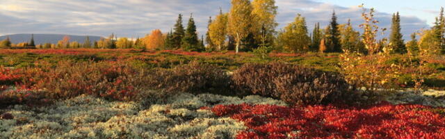 Venemaa sõda jättis polaarteadlased poolpimedaks