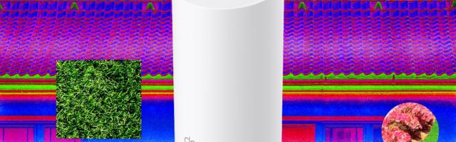 How to Get Reliable Wi-Fi in Your Backyard