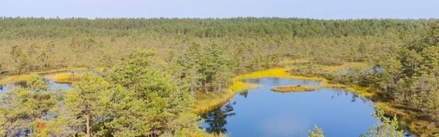 Emor: toetus rohepöörde läbiviimisele on kahanenud