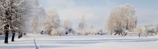 Ilm muutub kargemaks, uuel nädalal paugub pakane