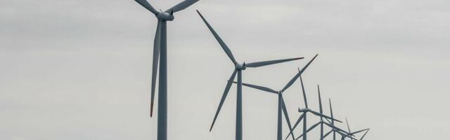 LÄHEB REBIMISEKS ⟩ Saare 1 meretuulepargiala ihkab kaks ettevõtet