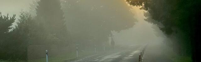 Piret Britta Pallon NÄDALA FOTO