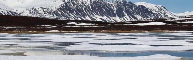 Alaska mäestikus hukkus kolm Läti mägironijat