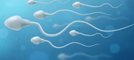 Uut meestel kasutatavat rasestumisvastast vahendit ei tule enam kaua oodata