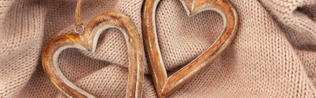 AITAME KOOS I Operatsioon Prantsusmaal on haruldase haigusega Damiri viimane võimalus