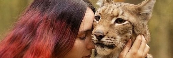 VIDEOD | Peterburi neiu peab linnakorteris koeri ja kaht ilvest