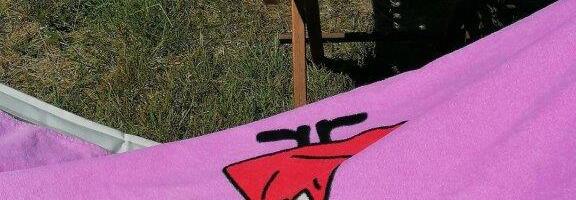 Jaaniaja kohtumised - Noorte Nurk