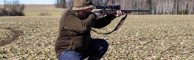 Hanejaht alaku! Laserkiired ja gaasipaugutid on juba käigus, nüüd saab lindudele ka tina anda