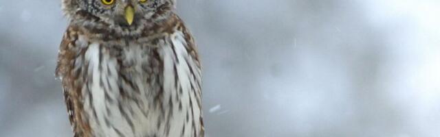 Selgus parim ja halvim keskkonnategu