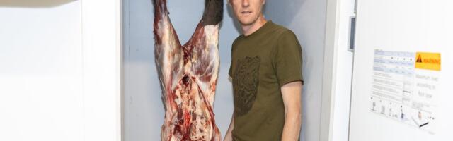 Jahimehed, loomakasvatajad ja põllumehed: „Metssealihale riiklik sundkokkuost. Milleks küttida prügikasti?“