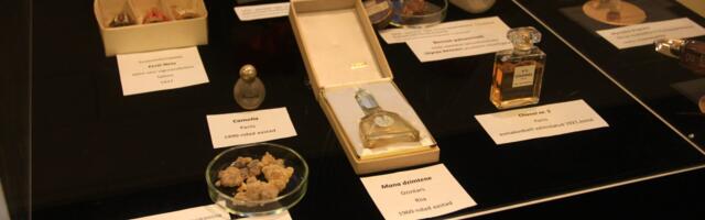 Tartu Ülikooli botaanikaaias on avatud näitus „Taimede teekond parfüümiks“