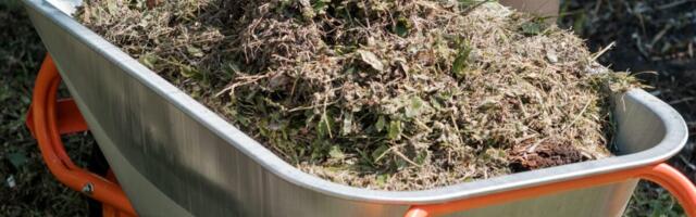 Rešite se upornog korova uz pomoć spreja iz kuhinje: Sve je na prirodnoj bazi i uspeh je zagarantovan