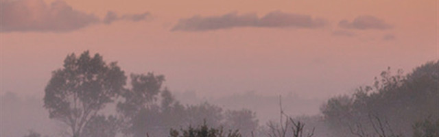 Õhtu toob tagasi kõik