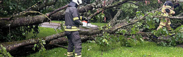PILDID: Põltsamaa vallas kukkusid puud teedele
