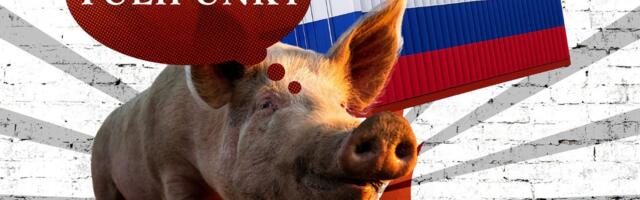 TULIPUNKT | Krister Paris_ Putin ründas kesikuid, Eesti tahab suupruukimise eest vangi saata