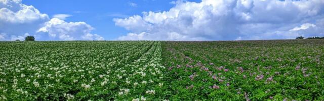Euroopa otsib lahendusi traatussiprobleemile: mida näitavad värsked uuringud?