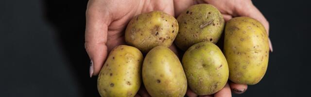 Jälle sain poest rohelised kartulid! Mida nendega peale hakata?