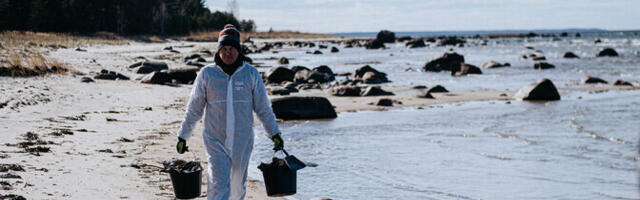 Põhjaranniku masuudireostuse koristamine jätkub uuel nädalal