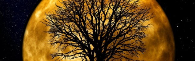 Maal, Päikesesüsteemis ja üldse universumis on seletamatult palju kulda – kust see tuli?