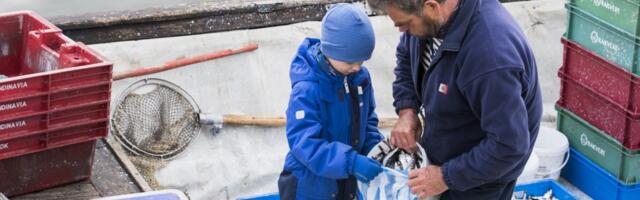 Avatud kalasadamate päev rõõmustas taas kõiki kalasõpru