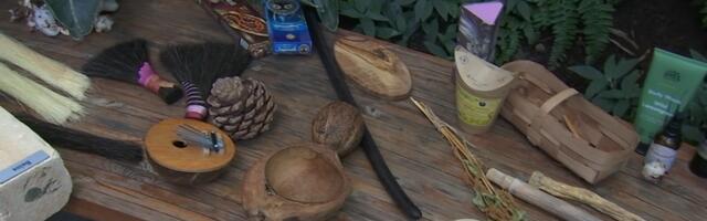 Программа ботанического сада рассказывает о растениях для музыки, одежды и сладостей