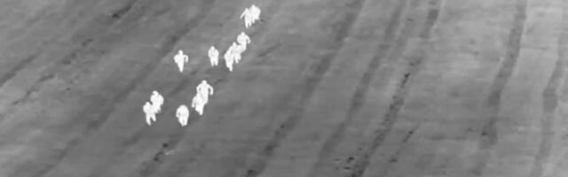 VIDEO: 19 meest tahtsid Ukrainast jalga lasta, nabiti kinni
