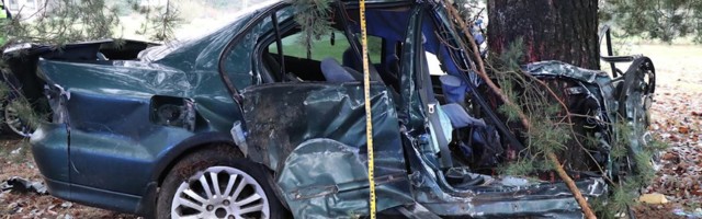 Reporter: Pärnumaal leiti lömastunud Mitsubishi Galanti kõrvalt kohaliku 35-aastase mehe surnukeha