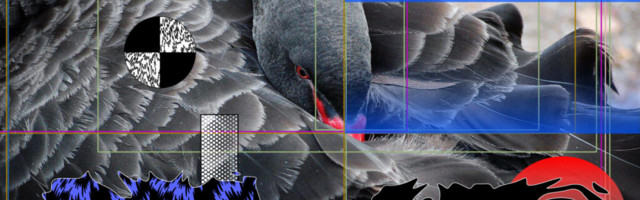 Reedel avaneb linnaruumi kunstinäituse „Ööpildid“ viimane teos, Norman Orro „Musta luige muster“