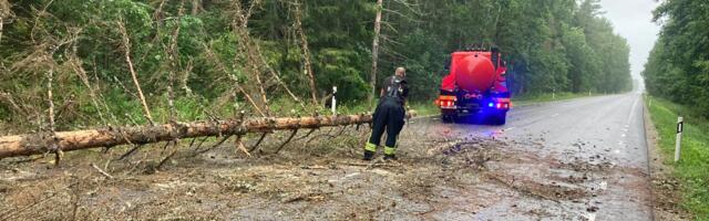 Päästjad on tormituultega seoses saanud üle 300 väljakutse