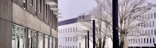 Pärnu innovatsioonifond investeerib nii laste vaimsesse tervisesse kui ka tänavapildi nutikamaks muutmisse