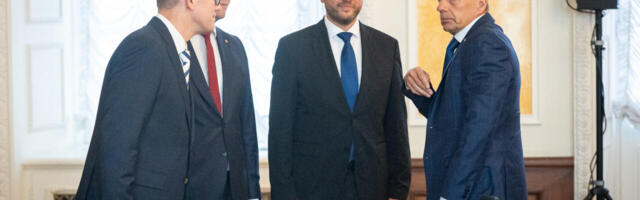 Urmas Reitelmann: kurjategijad on paanikas