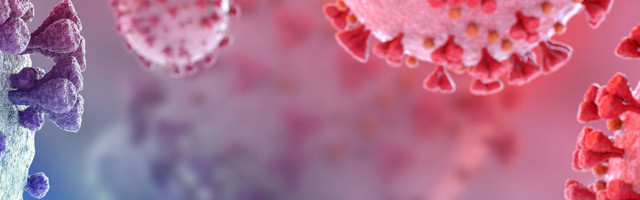 Koroonaviirus Eestis, 11. veebruar 2021: ööpäevaga lisandus 677 positiivset, suri kolm inimest