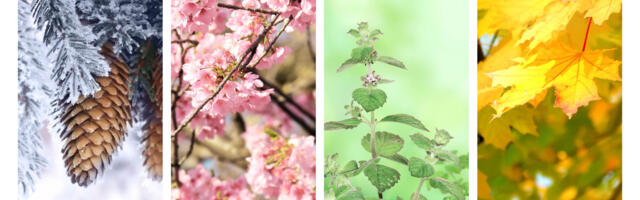 KES OLEKS OSANUD SEDA ARVATA! Mida su lemmik aastaaeg ütleb sinu kohta?