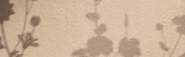 Tallinna Botaanikaaias esitletakse elulõngu ja Eestis kasvatatud viinamarju