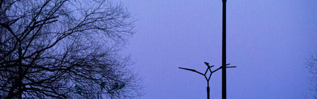 Külmakraadid lähipäevil taanduvad