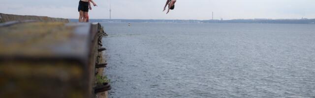 Marko Pomerants: paneme mere kõvasti raha teenima